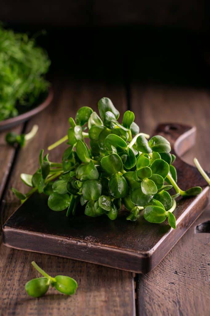 sunflower microgreens on small cutting board