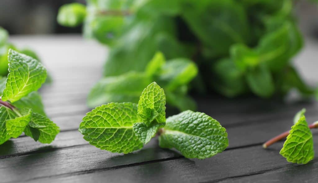 Fresh mint leaves on wooden board, closeup