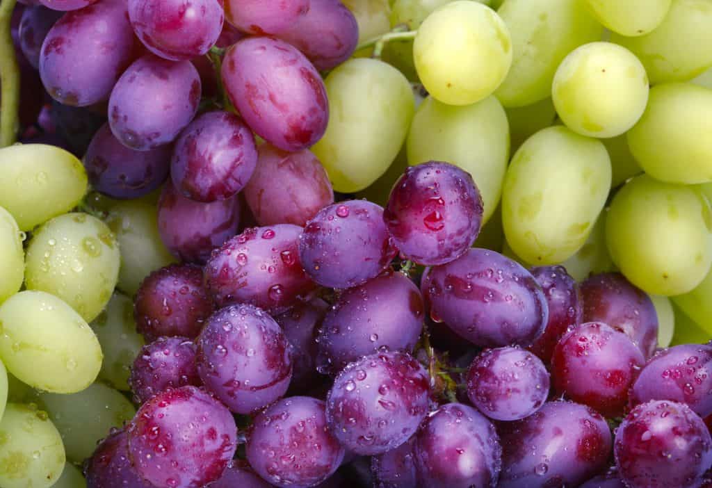 green and purple grapes close up