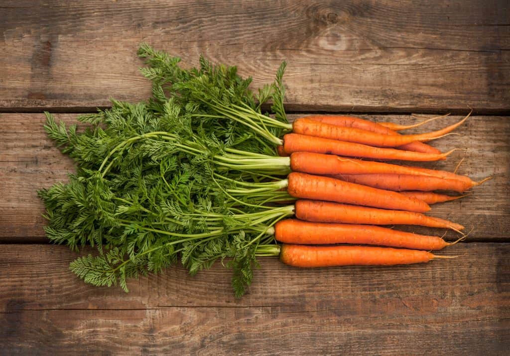 Bunch of fresh carrots with green leaves over wooden background. 