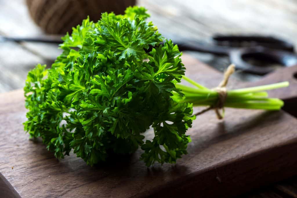 fresh green parsley bunch on wooden board