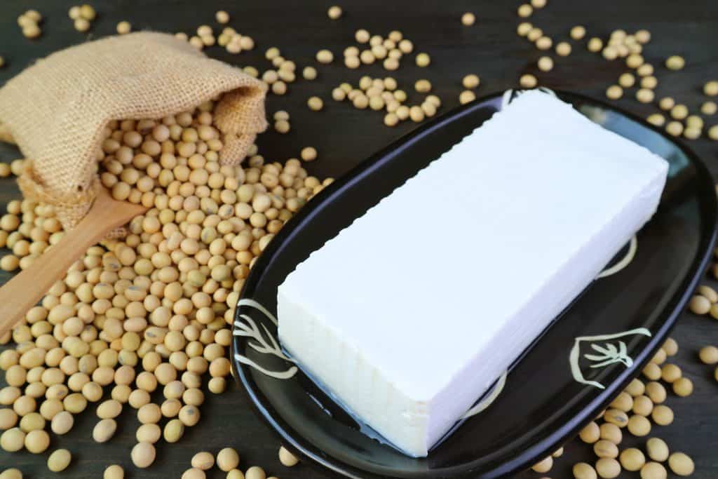 block of tofu with soybeans surrounding