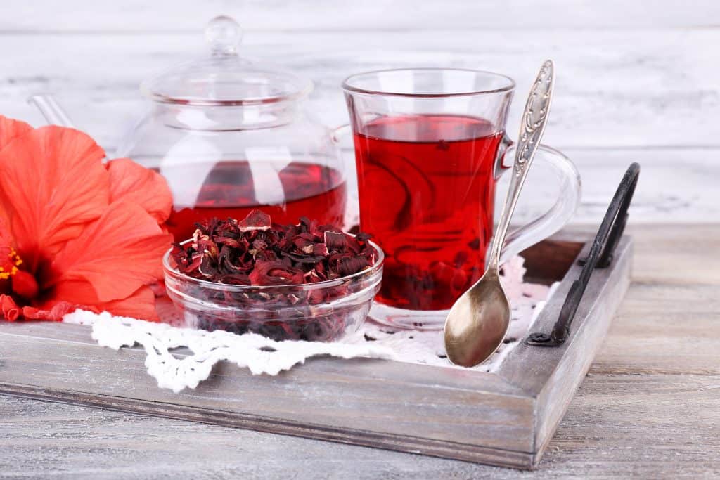 hibiscus tea in glass with dried petals and fresh flower