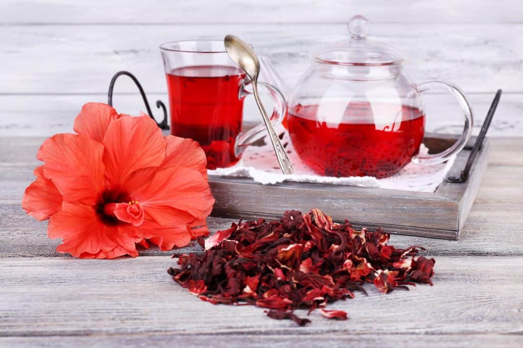 fresh hibiscus tea with dried petals and a fresh flower on wooden background
