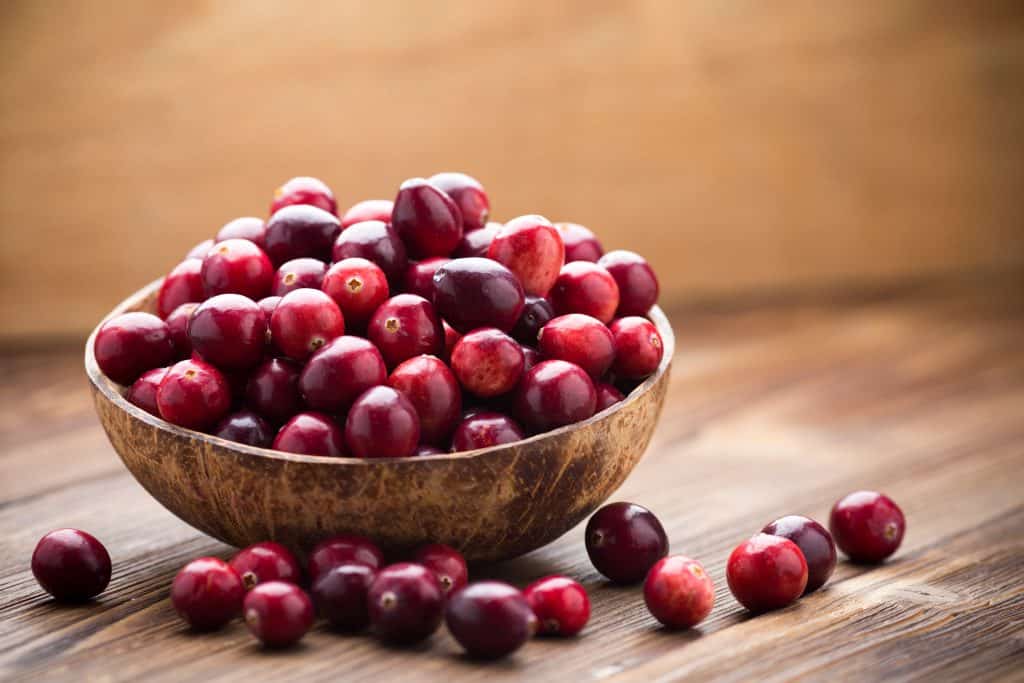 Cranberries in wooden bowl on wooden background.