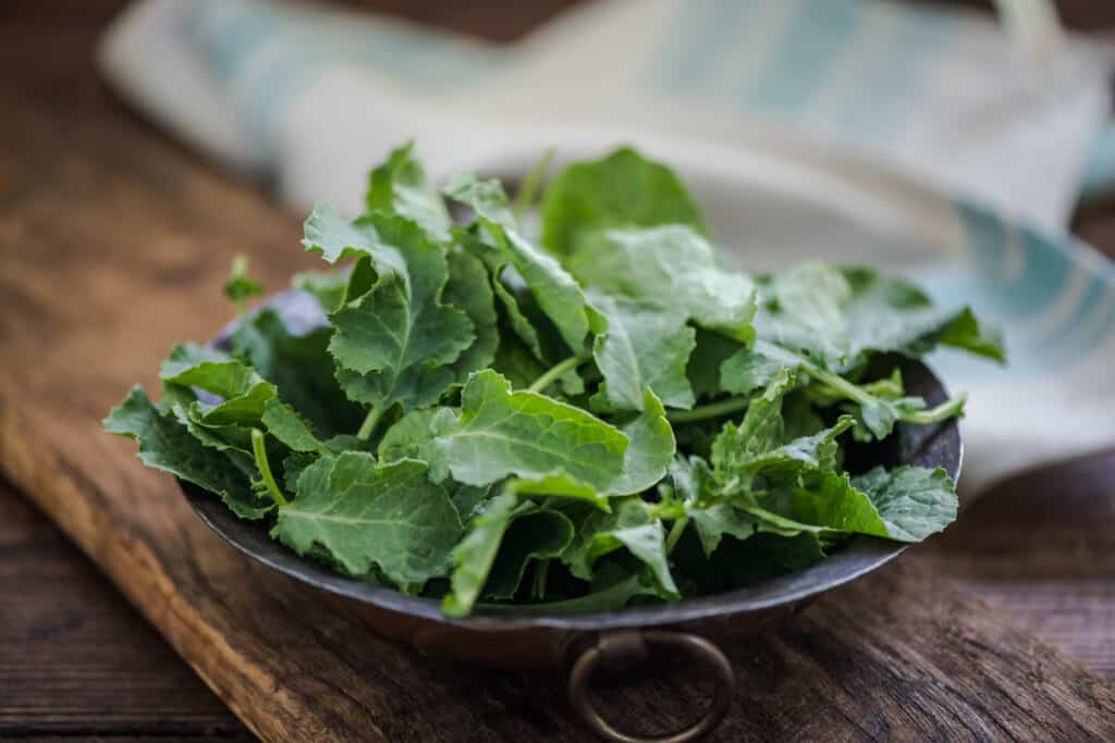 Baby Kale leaves in rustic bowl